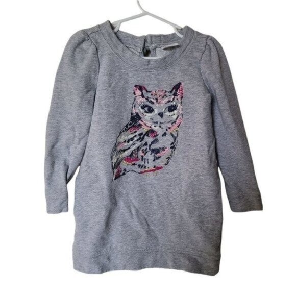 Gymboree‎ Tunic Sweatshirt size 5 Years Girls Gray Embroidered Owl Glitter - Picture 2 of 5